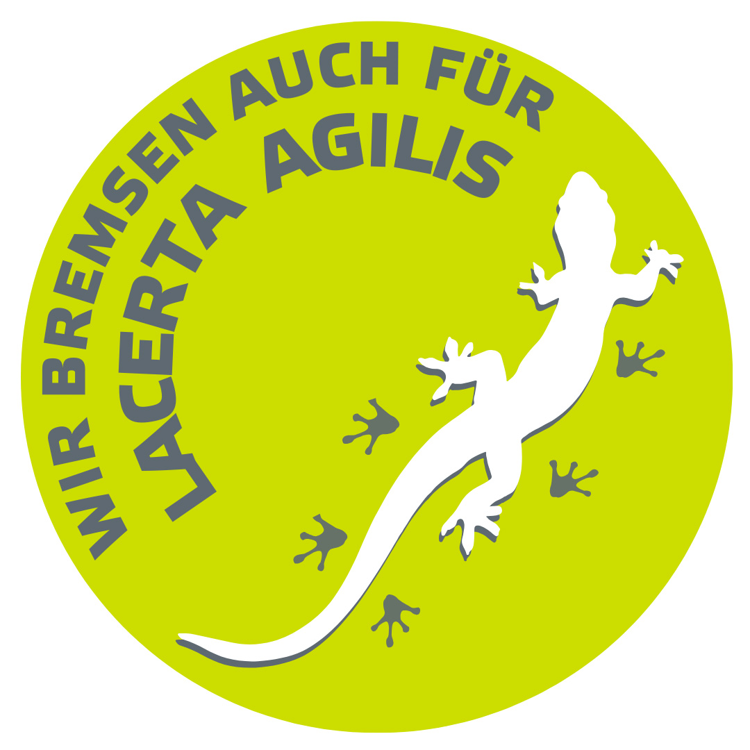 Read more about the article APRIL, APRIL !  agilis-Projekt zum Schutz der Zauneidechse (Lacerta agilis)